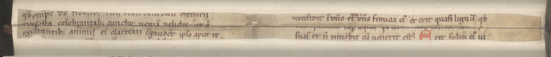 Cod3878_Falz_124_125_m