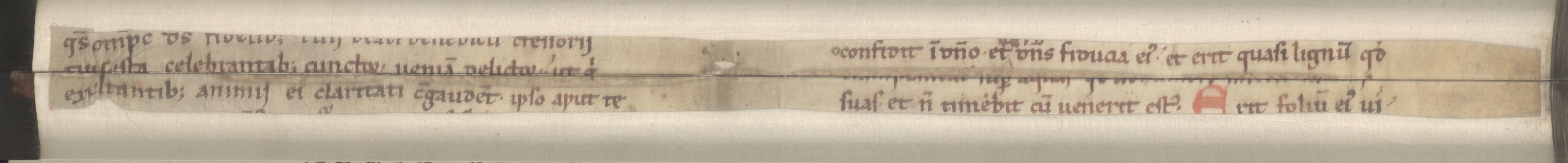 Cod3878_Falz_124_125_m