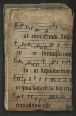 A_302_Bd_11288_links