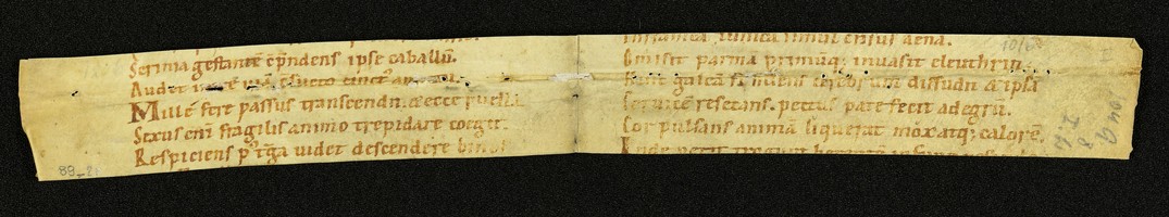 Innsbruck_ULBT_Frg_089_02_r