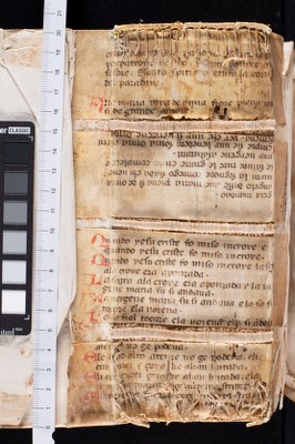 Rinforzi interni al dorso_A