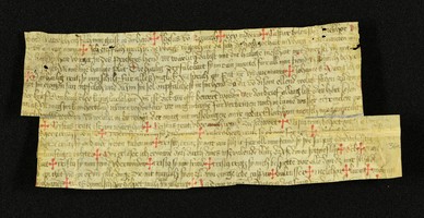 Innsbruck_ULBT_Frg_036_r