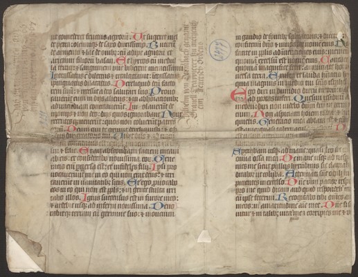 StAL_B_231_Bd_2477_IIv_Ir