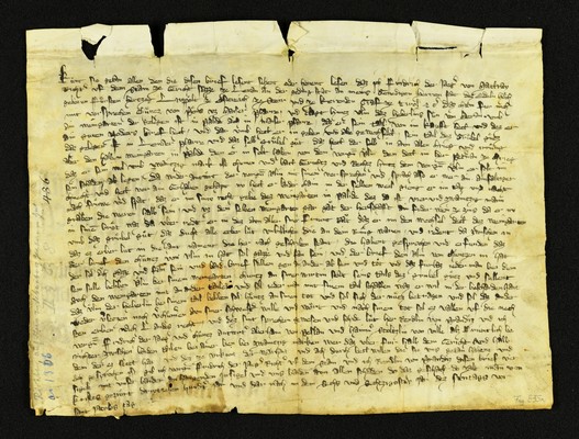 Innsbruck_ULBT_Frg_E35_r