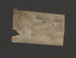 Fragm_244_11r