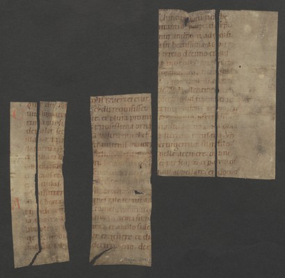 Fragm_244_1_2_3_7_8_r