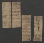 Fragm_244_1_2_3_7_8_v