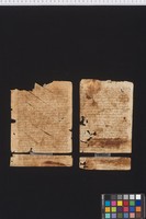 Stams_STA_Frg_116_01r02r