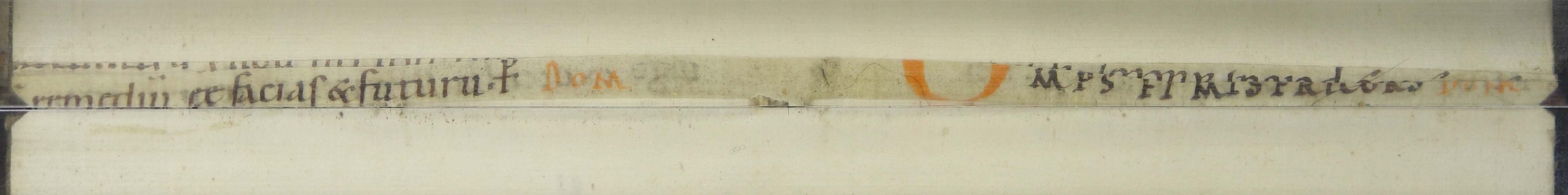 Cod3629_Falz240_241_m