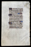 University_of_South_Carolina_Leaf_Verso