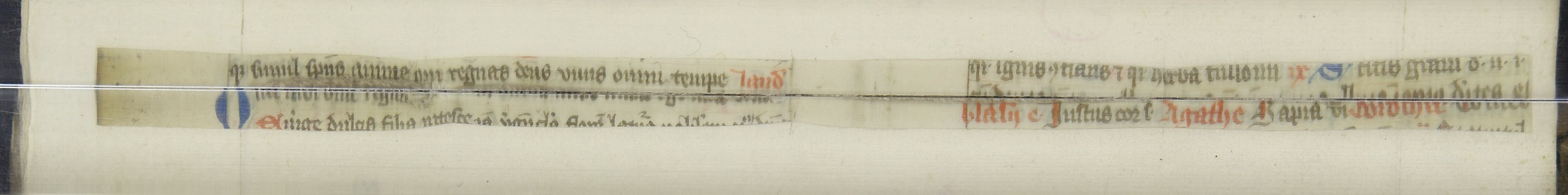 Cod3617_Falz_258_259_m