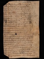 e-codices_ubb-N-I-0006-19_r_max