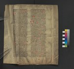 Bl_Xv
