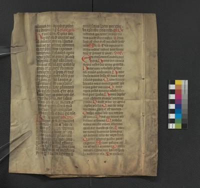 Bl_Xv