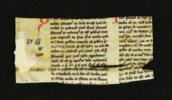 Innsbruck_ULBT_Frg_017_r