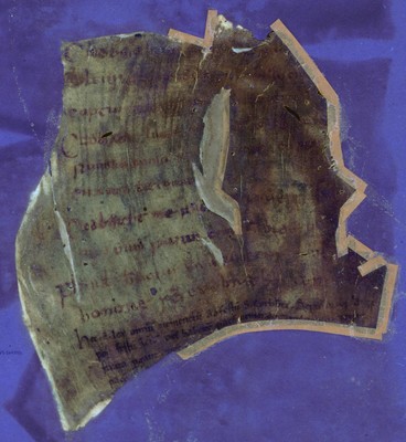 Otho_B_IX_1v_UVCompositeR15G17B19