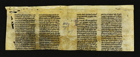 Innsbruck_ULBT_Frg_006_01_r