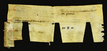 Innsbruck_ULBT_Frg_019_r