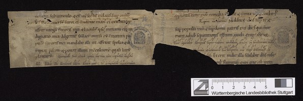 WLB_Cod_fragm_31_I_r_II_v