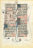 Hollins_MS_5_Leaf_1r