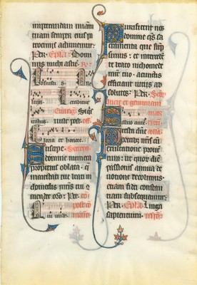 Hollins_MS_5_Leaf_1r