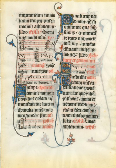 Hollins_MS_5_Leaf_1r