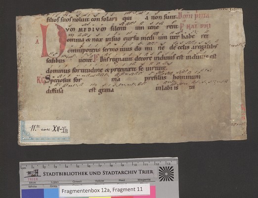 StBTrier_Fragmentenbox_12a11_01_