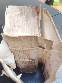 Rinforzi interni al dorso