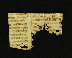 Innsbruck_ULBT_Frg_075_01_r