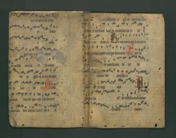 StAL_B_114_Bue_1560_IIv_Ir