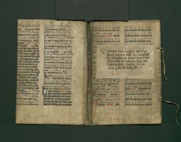 StAL_B_113_Bue_970_Iv_IIr