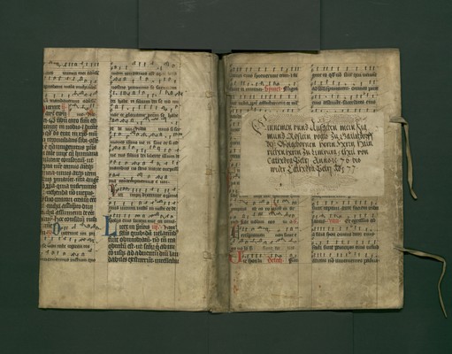 StAL_B_113_Bue_970_Iv_IIr