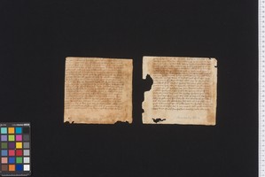 Stams_STA_Frg_117_01r02r