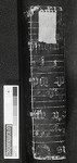 Spine IR