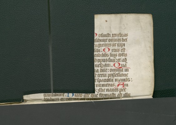 StAL_B_231_Bd_2474_Ir_oben