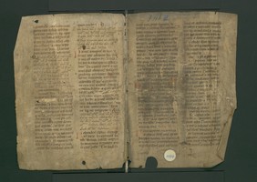 StAL_B_91_b_III_Bue_1174_IIv_Ir