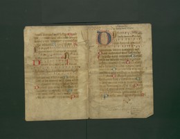 StAL_PL_18_Bue_294_IIv_Ir