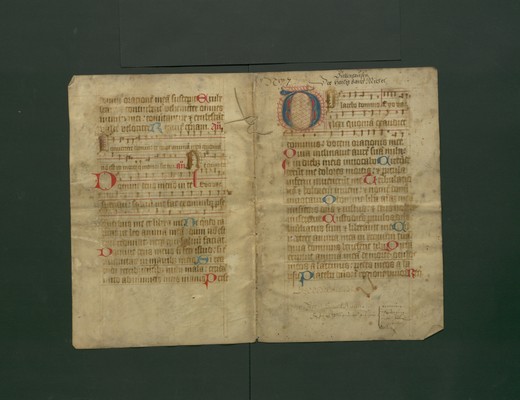 StAL_PL_18_Bue_294_IIv_Ir