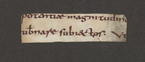 Fragm1589_1r