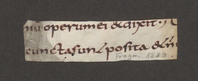 Fragm1589_1v