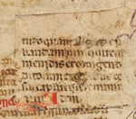 mds_58Ca03_rattoppo_cop_ant