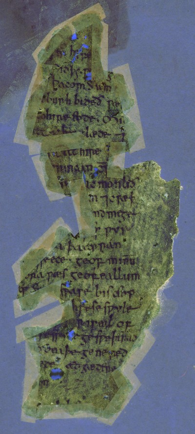 Otho_B_XI_37v_UVCompositeR15G17B19