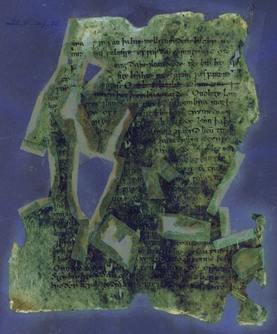 Otho_B_XI_3r_UVCompositeR15G17B19