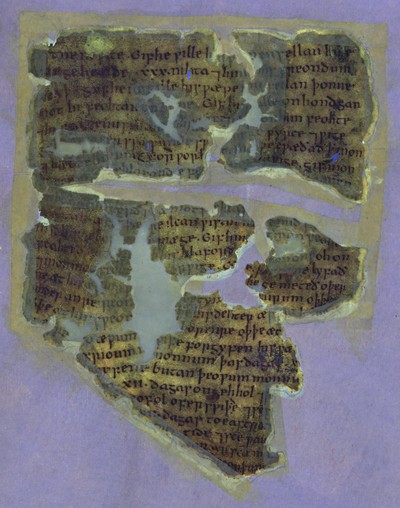 Otho_B_XI_50r_UVCompositeR15G17B19