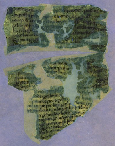 Otho_B_XI_50v_UVCompositeR15G17B19