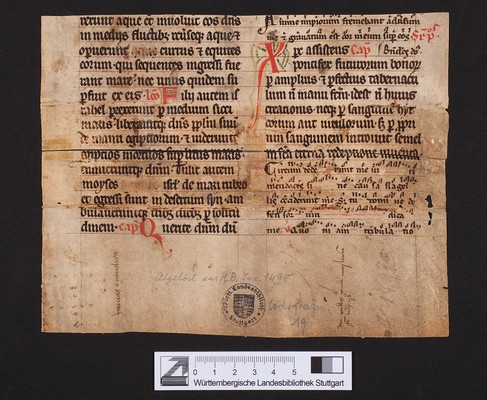 WLB_Cod_fragm_19_recto