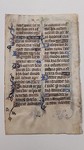 MasseyCollege_GurneyFF0001_HL17_17_verso