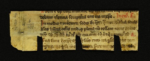 Innsbruck_ULBT_Frg_112_01_r