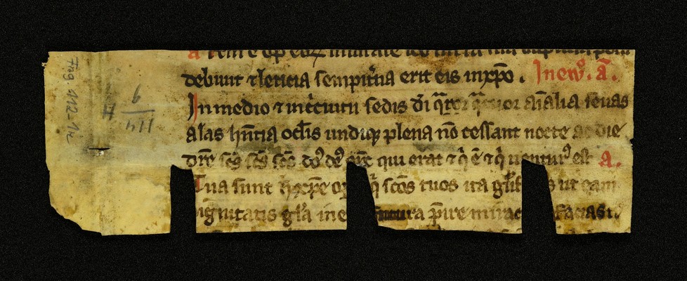 Innsbruck_ULBT_Frg_112_01_r