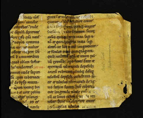 Innsbruck_ULBT_Frg_023_v